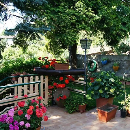 Casa Clo 펜션