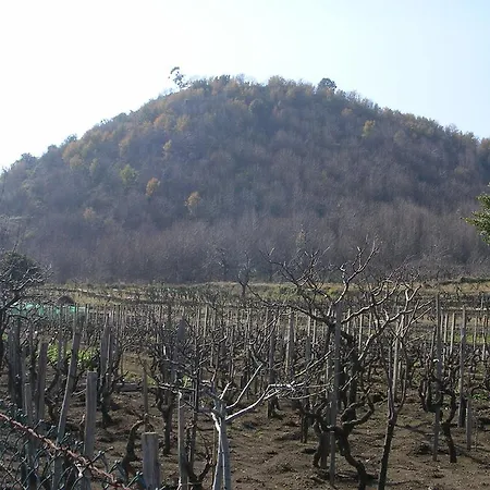 펜션 Casa Clo *