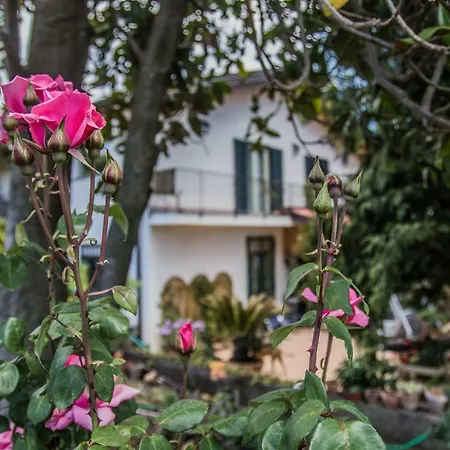 Holiday home Casa Clo